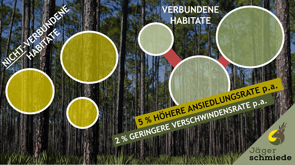 Das Verbinden von Habitaten mit Hilfe von Fluren kann gefährdeten Arten helfen, sich zu erholen!