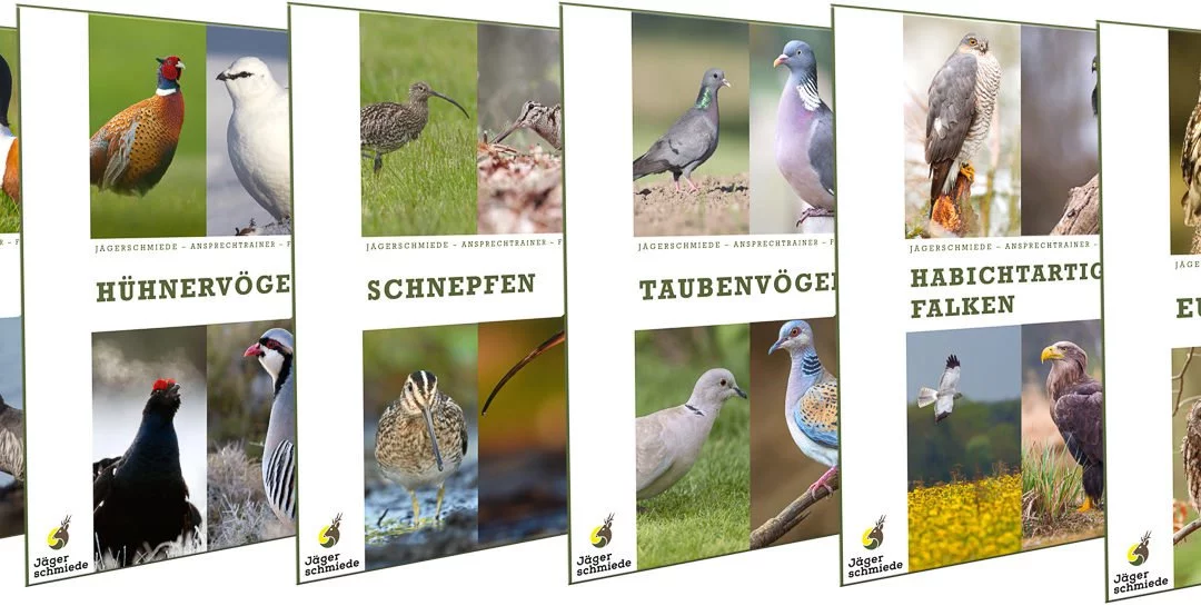 Prüfungsvorbereitung für die Jagdprüfung: Ansprechtrainer – Vogelarten erkennen
