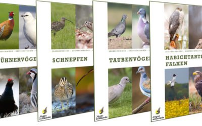 Prüfungsvorbereitung für die Jagdprüfung: Ansprechtrainer – Vogelarten erkennen