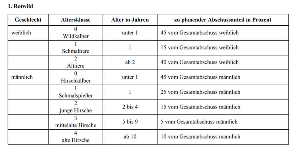 Abschlussplan 1. Rotwild