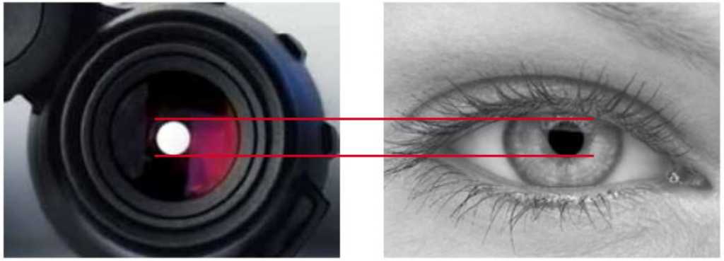 Abbildung: Die Austrittspupille sollte auf die Pupille des menschlichen Auges abgestimmt sein.