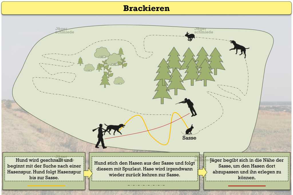 Abbildung: Prinzip des Brackierens.