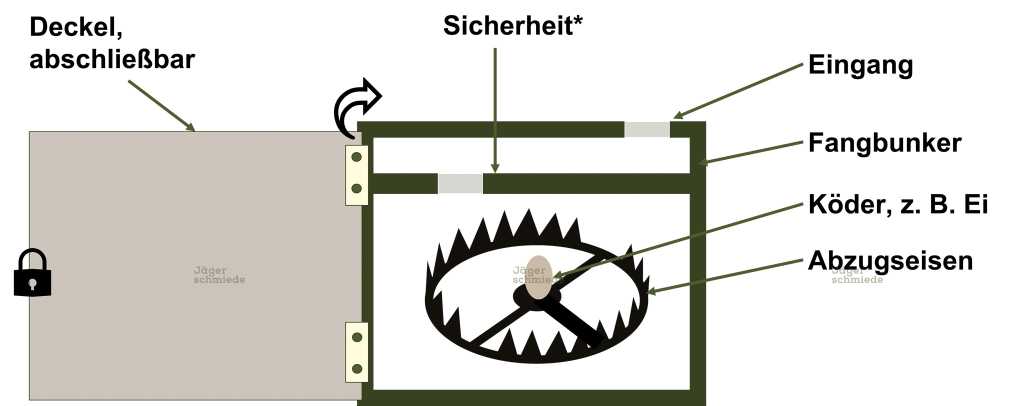 Abbildung: Fangbunker mit Abzugseisen.