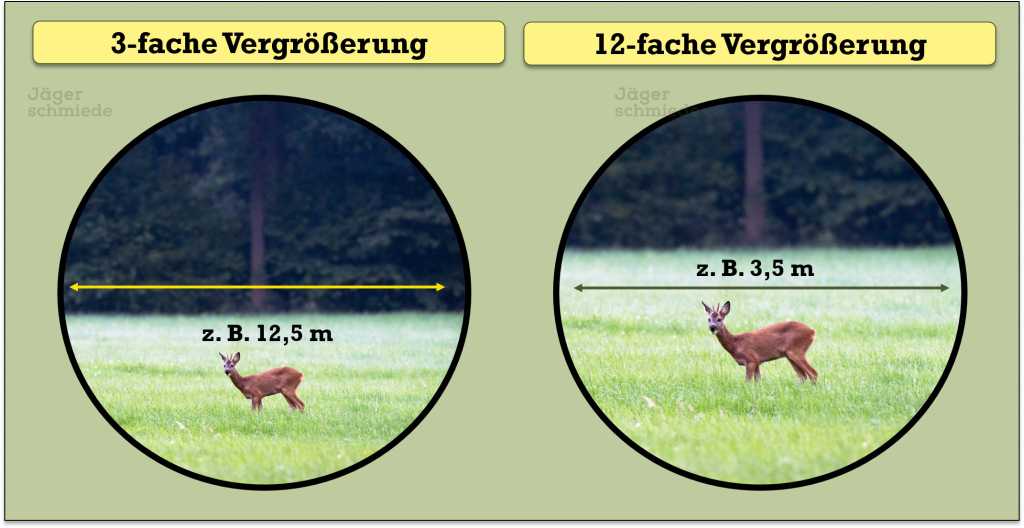 Abbildung: Zusammenhang zwischen Sehfeld und Vergrößerung.