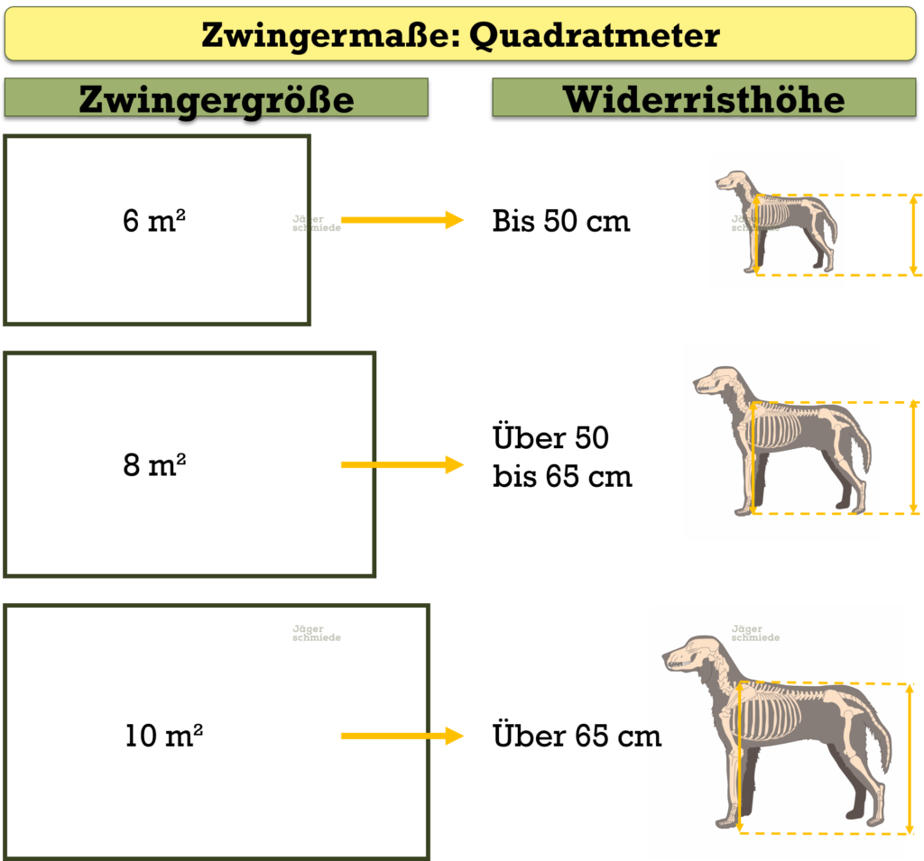 Abbildung: Gesetzliche Mindestgrößen für die Errichtung eines Hundezwingers. 