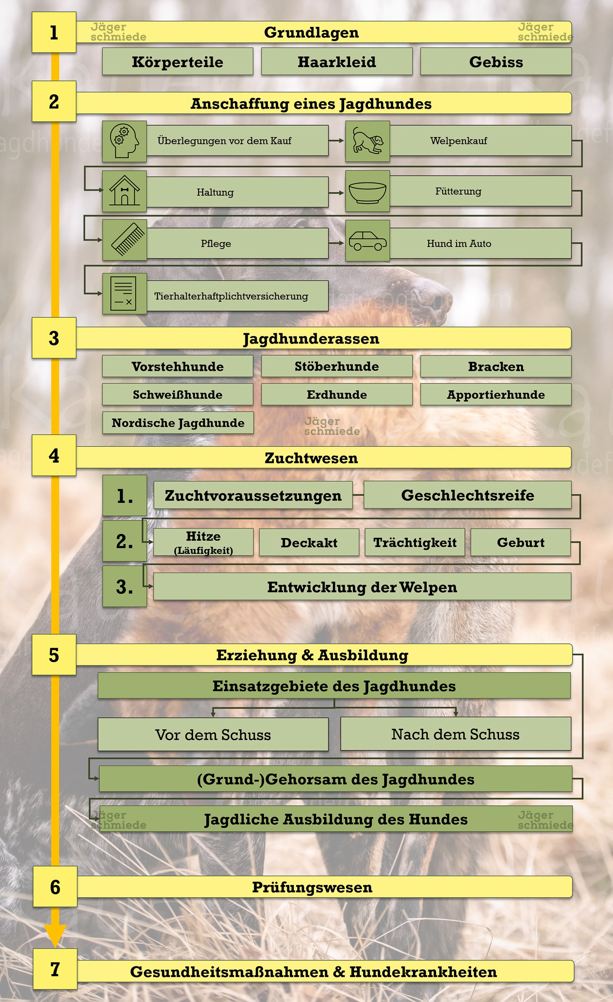 3 Aufbau des Kurses Jagdhundewesen