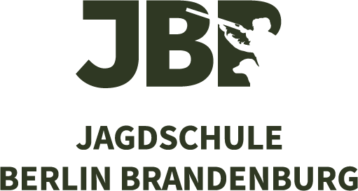 Artikel-Business-Insider